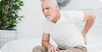 Spine & Disc Support