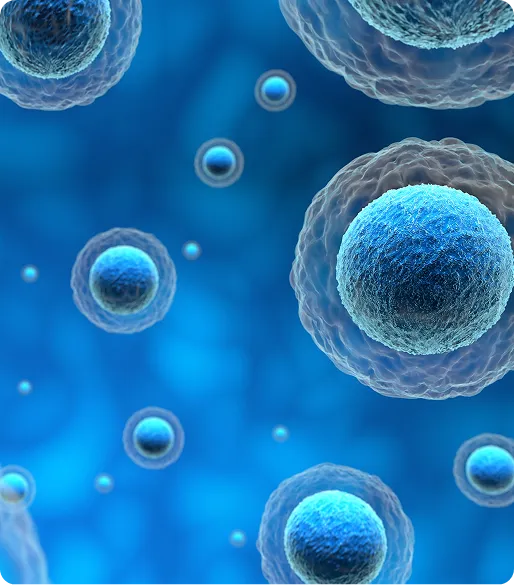 Stem Cell Treatment for Back Pain