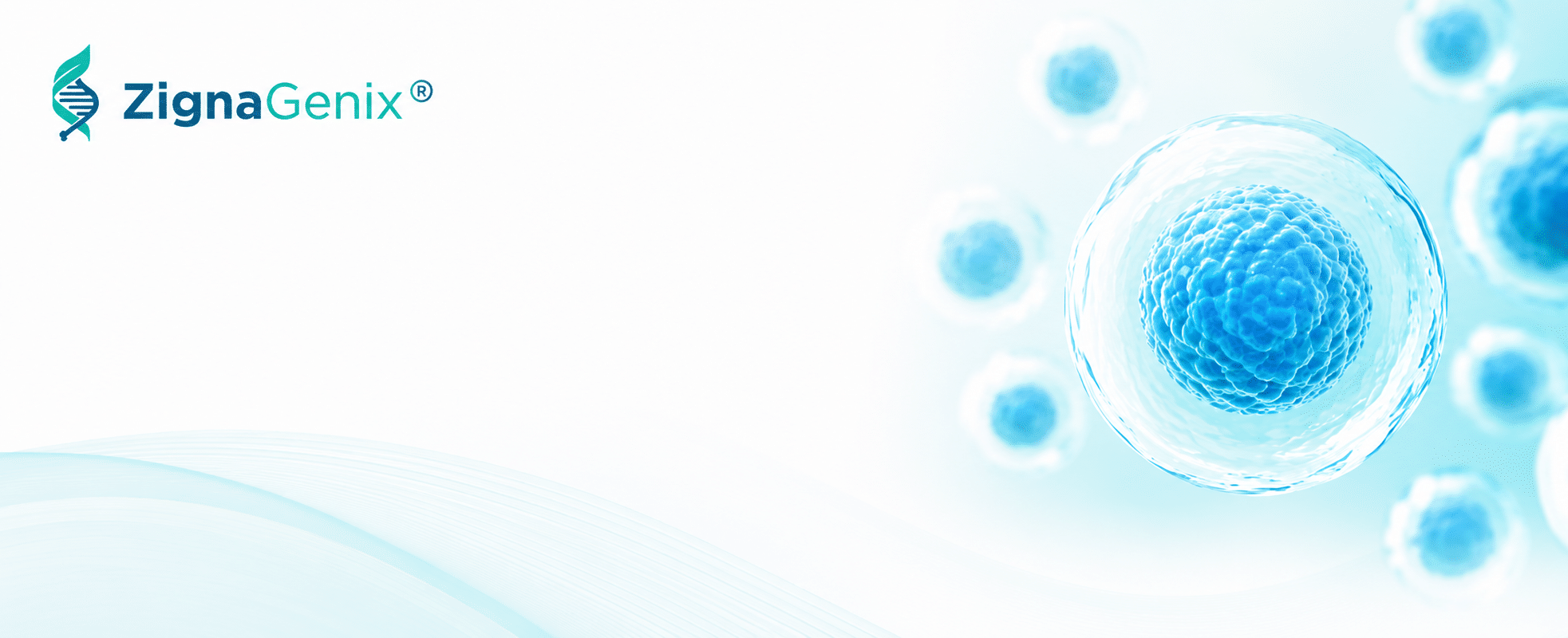 Stem Cell Therapy Cost - Cancun Mexico