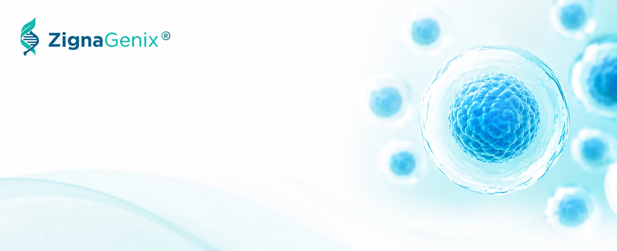 Stem Cell Therapy Cost - Cancun Mexico