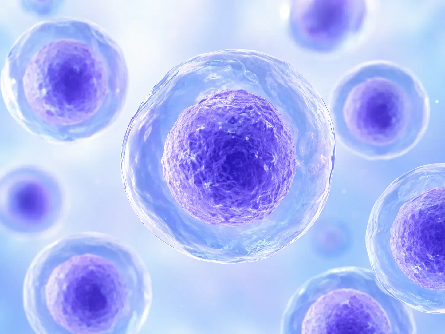 Stem Cell Treatment Cancun, Mexico